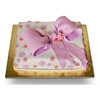 eflatun paket